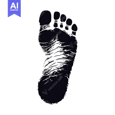Aset desain premium: A Black and White Illustration of a Human Footprint