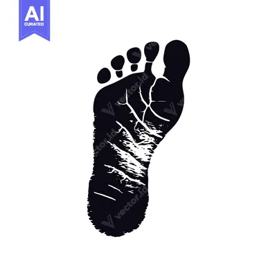 Premium design asset: A Single Black Footprint with Detailed Lines