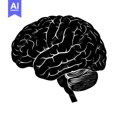 Aset premium populer: A detailed silhouette of the human brain in black and white.