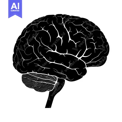 Aset desain premium: A Black and White Silhouette Illustration of a Human Brain
