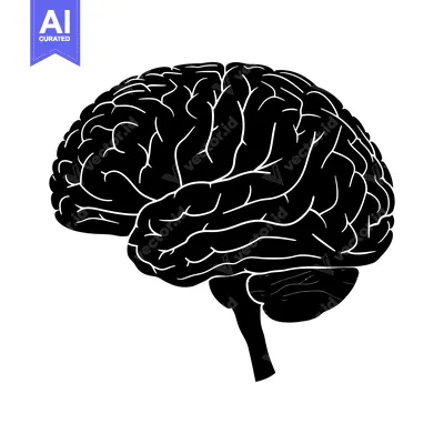 Aset desain premium: A Black and White Silhouette of the Human Brain