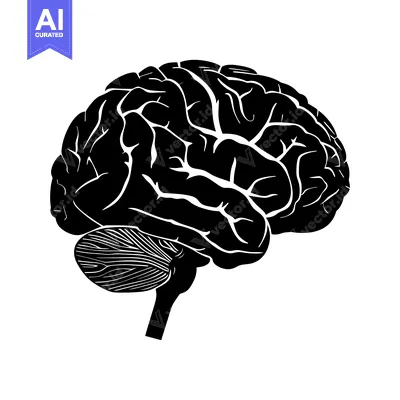 Black and White Silhouette of a Human Brain