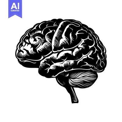 Aset premium populer: A Detailed Black and White Illustration of a Human Brain