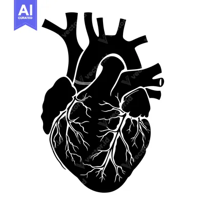 Aset desain premium: Anatomical Illustration of a Human Heart in Black Silhouette