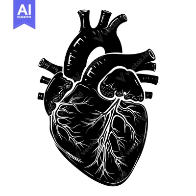 Aset premium populer: Anatomical Illustration of a Human Heart in Silhouette
