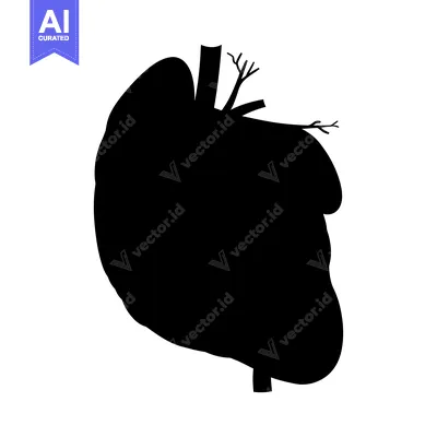 Popular premium asset: Silhouette of a Human Liver with Blood Vessels