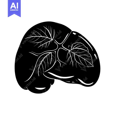 Popular premium asset: Black and White Silhouette of a Human Liver with Intricate Vein Struct