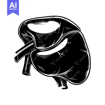 Premium design asset: Black and White Illustration of a Human Spleen