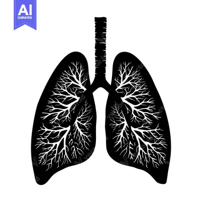 Premium design asset: Silhouette of Human Lungs with Intricate Branching Structures
