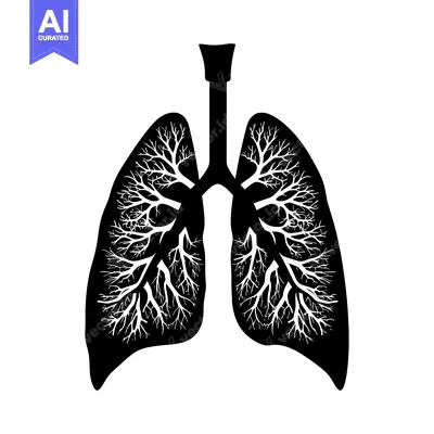 Aset premium populer: Black and White Illustration of Human Lungs with Detailed Branching Br