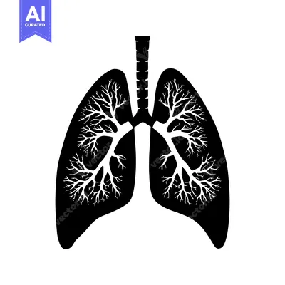 Aset premium populer: Black and white silhouette of human lungs with detailed internal struc
