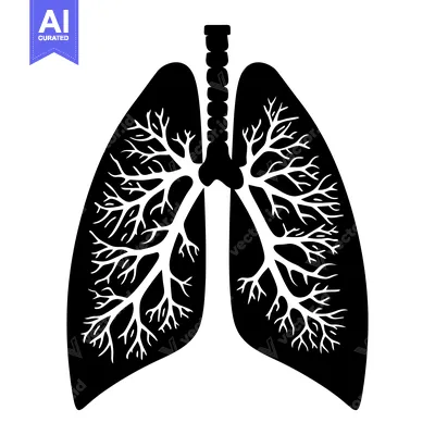 Aset premium populer: Black and White Silhouette of Human Lungs with Bronchial Tree