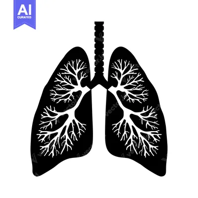 Black and White Silhouette of Human Lungs with Detailed Bronchial Tree