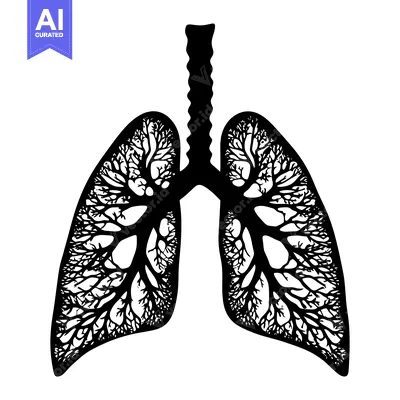 Aset premium populer: Black and white illustration of human lungs stylized as trees