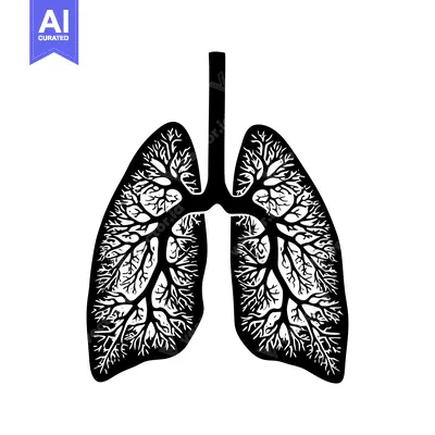 Black and White Illustration of Human Lungs with Tree-Like Structures