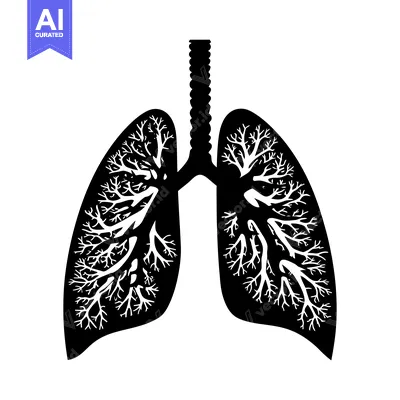 Premium design asset: Black and White Silhouette of Human Lungs with Detailed Bronchial Tree