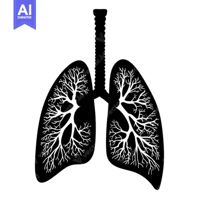 Popular premium asset: Black and White Silhouette of Human Lungs with Detailed Bronchial Tree