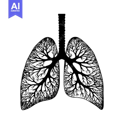 Aset desain premium: Black and White Illustration of Human Lungs with Branch-Like Structure