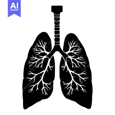 Black and White Silhouette of Human Lungs with Trachea