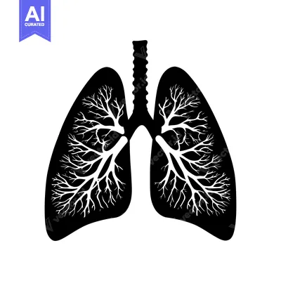 Aset desain premium: Black and White Silhouette of Human Lungs with Branch-Like Structures