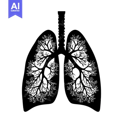 Aset premium populer: Lungs with Branching Tree Pattern in Black and White Silhouette