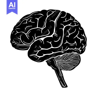 Black and White Silhouette of a Human Brain