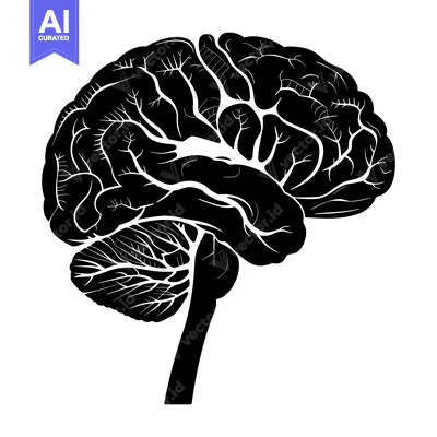 Aset premium populer: A detailed black and white silhouette of the human brain