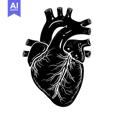 Premium design asset: Black and White Illustration of a Human Heart with Visible Veins