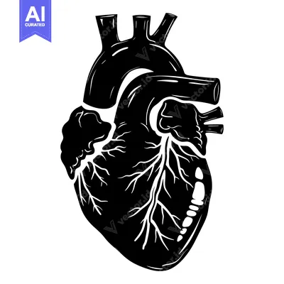 Aset desain premium: Black and White Detailed Illustration of a Human Heart