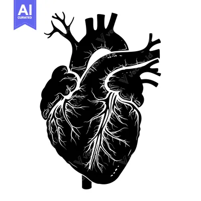 Aset desain premium: Anatomical Illustration of a Human Heart with Veins