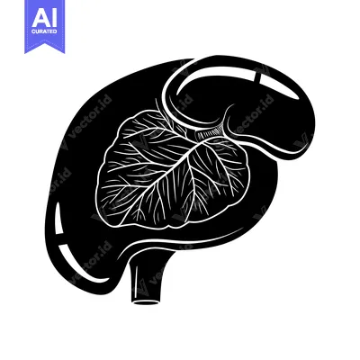 Black and White Silhouette of a Human Spleen