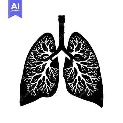 Premium design asset: Black and White Silhouette of Human Lungs with Detailed Bronchial Tree