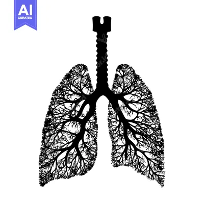 Aset premium populer: Silhouette of Lungs with Tree Branch Pattern