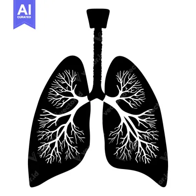 Black and White Silhouette of Human Lungs with Visible Bronchi