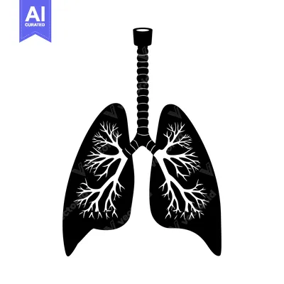 Aset desain premium: Black and White Silhouette of Human Lungs with Bronchial Tree
