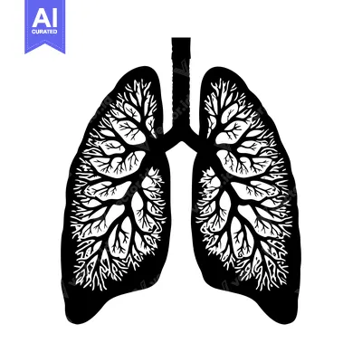 Aset desain premium: Lungs with Tree Branch Design