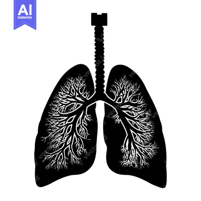 Aset desain premium: Black and White Silhouette of Lungs with White Branching Structure
