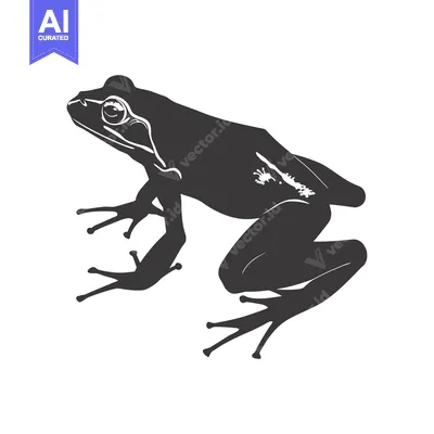 Popular premium asset: Black and White Silhouette of a Frog Sitting with Legs Spread