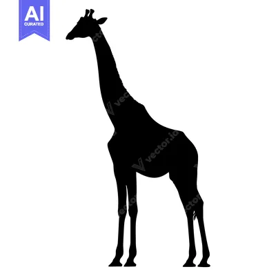 Premium design asset: A Black Silhouette of a Standing Giraffe