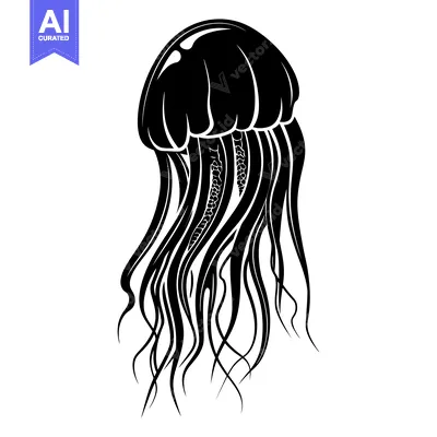 Black and White Silhouette of a Jellyfish with Detailed Tentacles