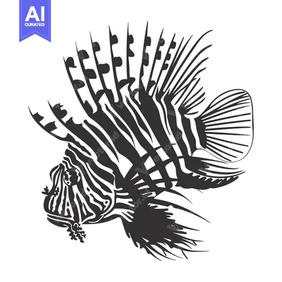 Popular premium asset: Black and White Line Art Illustration of a Lionfish
