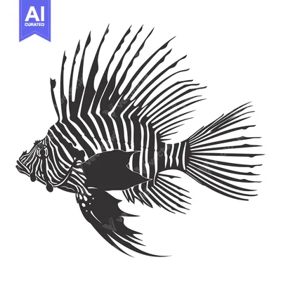 Popular premium asset: Black and White Illustration of a Lionfish with Striking Stripes