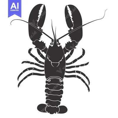 Aset premium populer: Black and White Silhouette of a Lobster