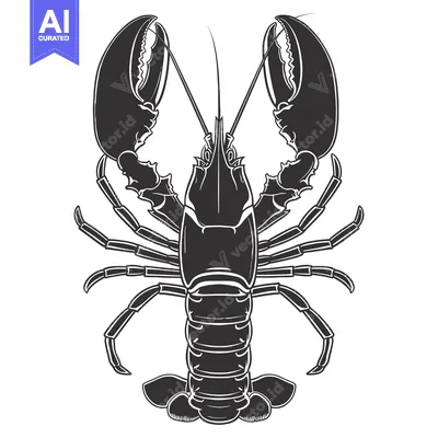 Popular premium asset: Black and White Illustration of a Lobster with Claws Raised