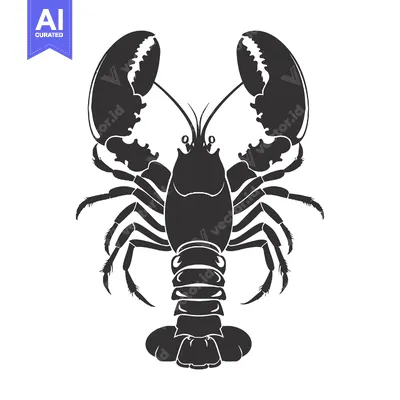 Black and white silhouette of a lobster with large claws