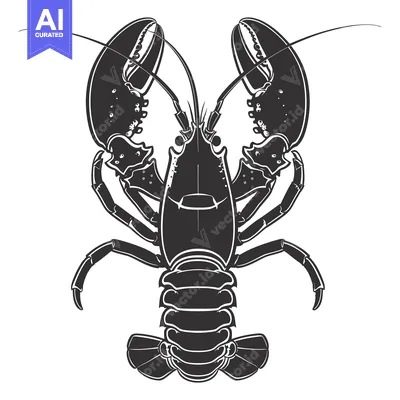 Aset premium populer: Black and White Silhouette of a Lobster