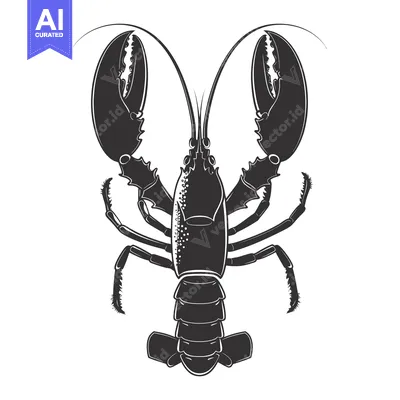Aset premium populer: Black and White Silhouette of a Lobster with Claws Up