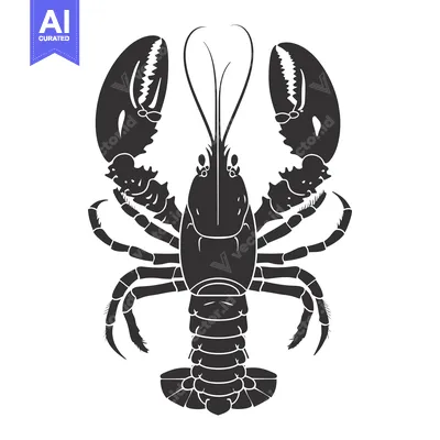 Aset premium populer: Black and White Silhouette of a Lobster