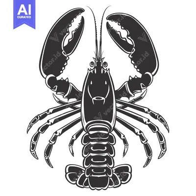 Premium design asset: Black and White Illustration of a Lobster with Claws Outstretched