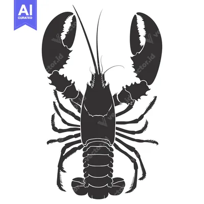 Aset premium populer: Black and White Silhouette of a Lobster with Claws Raised